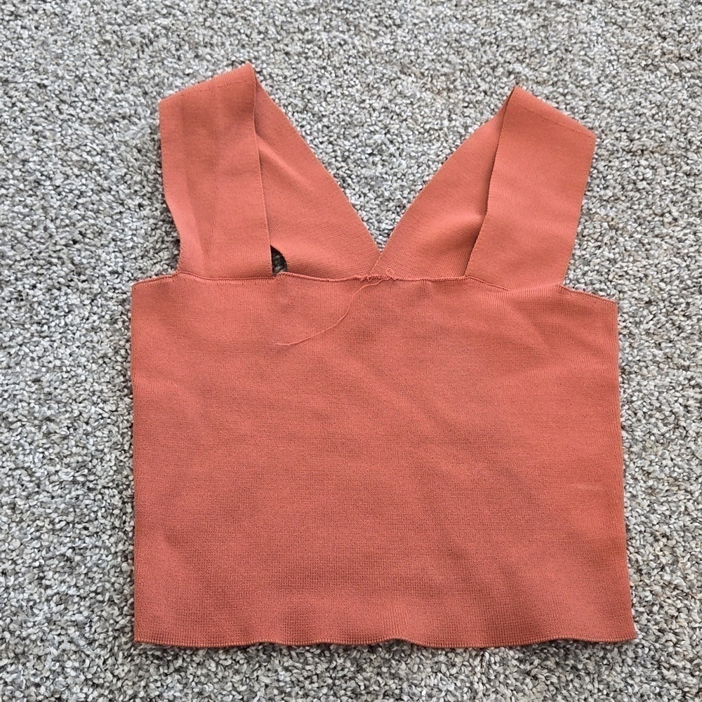 Seek the label burned orange crop top